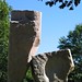 Lyman Stone Photo 8