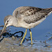 Bill Devereux Photo 7