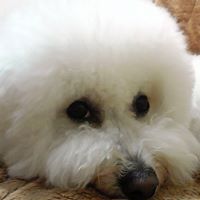 Eri Kaneko Photo 4