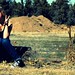 Sunshine Green Photo 7