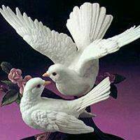 Fatima Shehu Photo 6