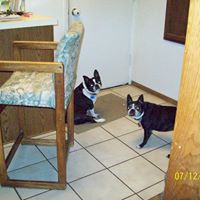 Dorothy Hamm Photo 20