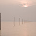 Gary Pilgrim Photo 7