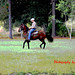 Carlos Pasos Photo 10