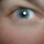 Michael Dolen Photo 13