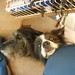Sally Fife Photo 8
