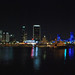 John Banks Photo 23