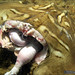 Phillip Ray Photo 15