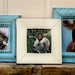 Cari Hill Photo 5