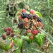 Lynn Berry Photo 10