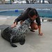 Ellen Seal Photo 8