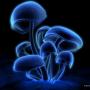 Anthony Galaz Photo 6