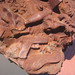 Karen Phoenix Photo 7