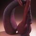 Jane Sauer Photo 7