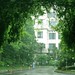 Jing Zhong Photo 6