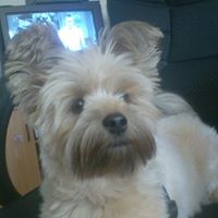 Luann Richardson Photo 5