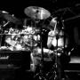 Laura Ferro Photo 15