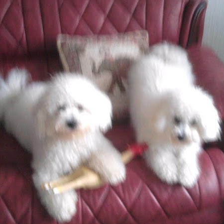 Joan Inglis Photo 6