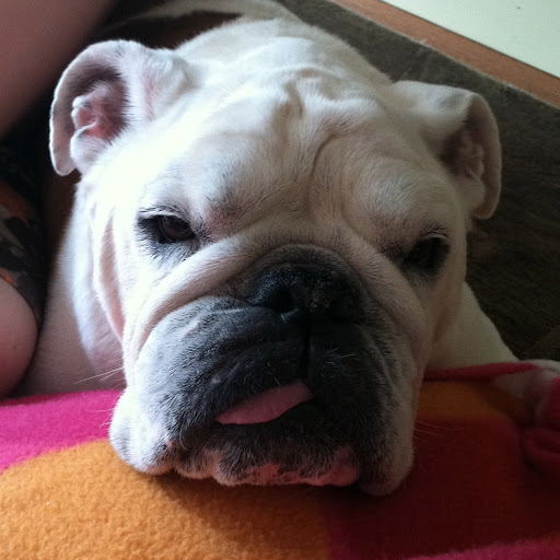 Christine Derose Photo 11