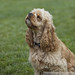Buddy Beverly Photo 4