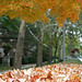 Gregory Hall Photo 20