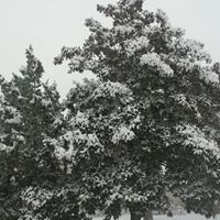 Charles Doss Photo 42