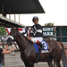 Nick Velazquez Photo 11