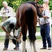 Donna Travers Photo 14
