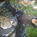 Billy Grantham Photo 7