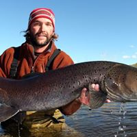 Michael Broder Photo 37