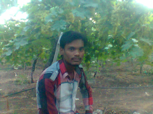 Shaikh Yousuf Photo 15