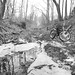 Eugene Putnam Photo 10