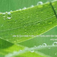Rui Ma Photo 27