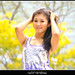 Hong Lim Photo 11