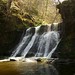 Dee Ladd Photo 11