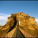 Luis Ho Photo 2