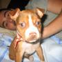 Isaac Betancourt Photo 9