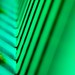 Sunshine Green Photo 4