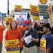 Jeff Curtis Photo 15
