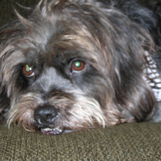Elaine Scott Photo 38