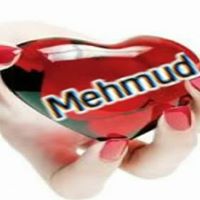 Mehmud Patel Photo 4