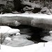 Steven Brooks Photo 17