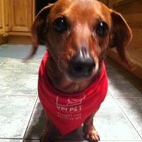 Cindy Houser Photo 8