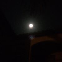 Horacio Quintanilla Photo 4