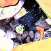 Sharon Cave Photo 11