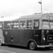 Marshall Green Photo 9