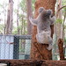 Casey Miles Photo 11