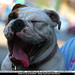 Maurice Evers Photo 10