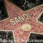 Sandra Conner Photo 11