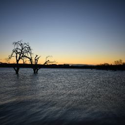 Scott Sutton Photo 17